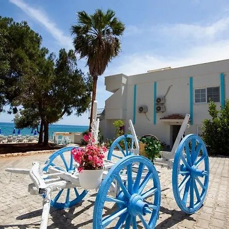 Mojo Otel Beach-3